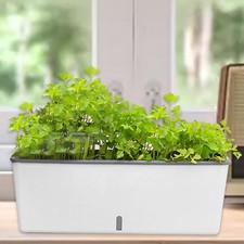 Scatola da finestra pentola di