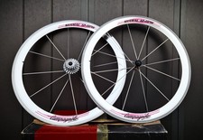 Campagnolo shamal hpw - campagnolo, 12-hpw