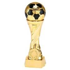 Larius Coppa d Onore di Calcio