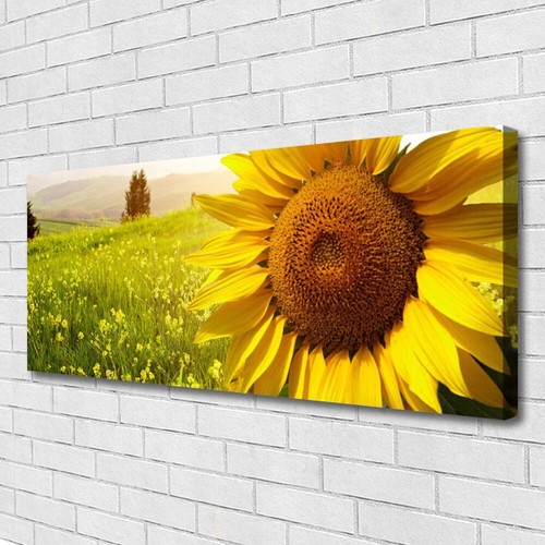 Stampa tela canvas 125x50 - canvas,