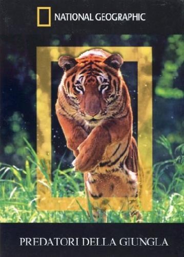 Predatori della giungla - predatori,