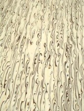 Furniere Di Maserbirke Burl