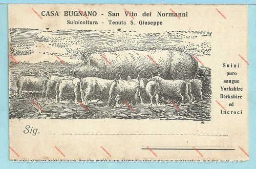 Cartolina casa bugnano - cartolina,