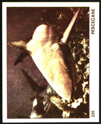 Mondo degli animali - animali, (1970)