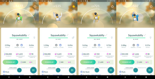 Squawkabilly - , lucido)