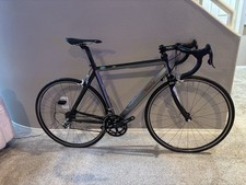 Bianchi 1885 Campy Chorus