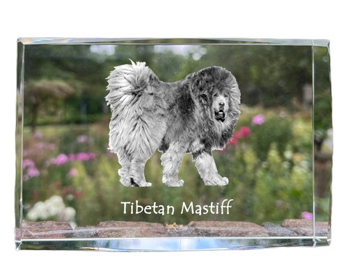 Mastino tibetano cristallo - , con
