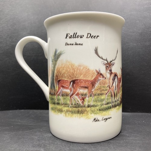 Fallow deer dama mike - dama,