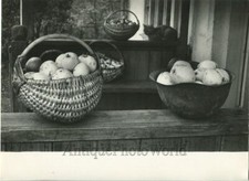 Still Life Con Mele E Gatto