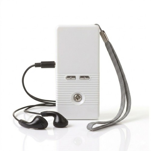 Radio mini portatile - fm,