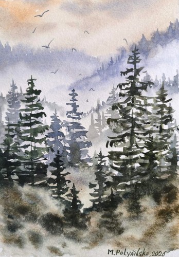 Misty foggy pines - moody, forest