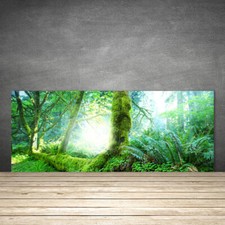 Paraspruzzi Cucina in Vetro