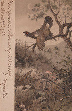 CARTOLINA  TEMATICA ANIMALI