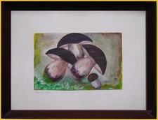 acquerello funghi porcini boletus firmato Marziani '81