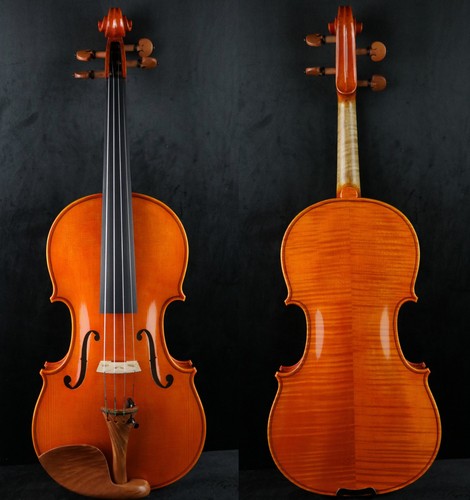 Amazing master violino - fatto, a