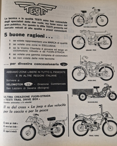 Moto testi testina - testi, prix
