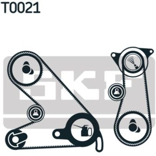 Kit cinghia distribuzione - cinghia,