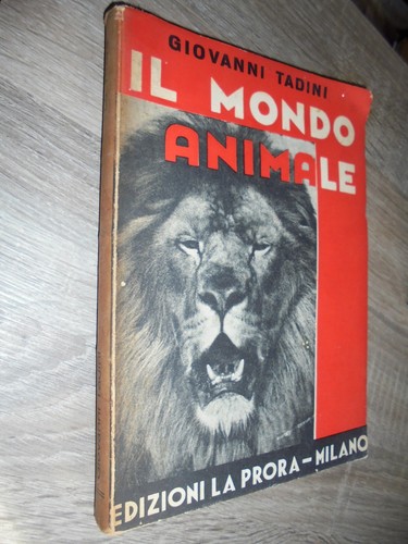 Tadini il mondo animale - mondo,
