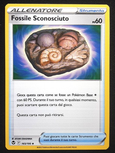 Fossile sconosciuto 165 195 - fossile, 165/195