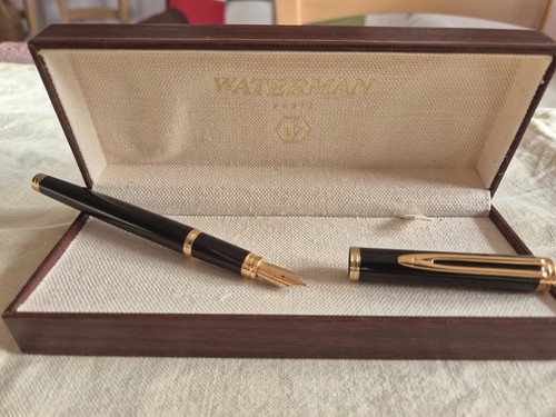 Penna stilografica waterman - stilografica,