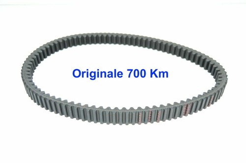 Cinghia trasmissione