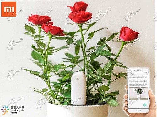 Xiaomi smart flower - smart, care