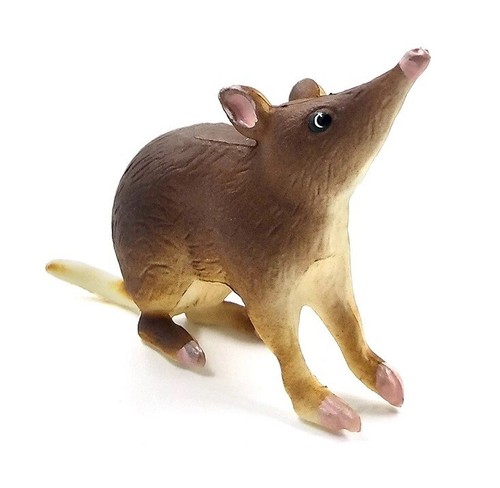 Roditore animale giocattolo - roditore,