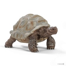 TARTARUGA GIGANTE giant