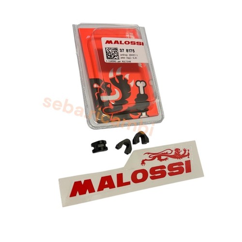 Cursori variatore malossi - cursori,
