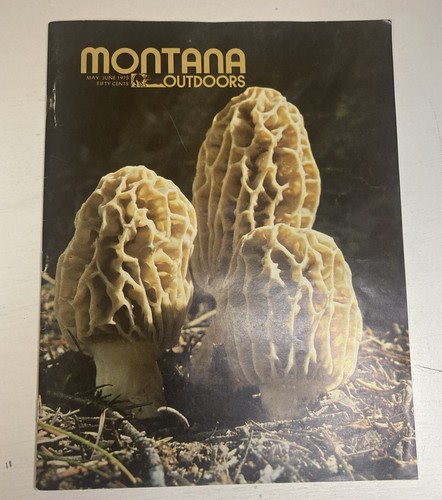 Montana outdoors may - montana, june