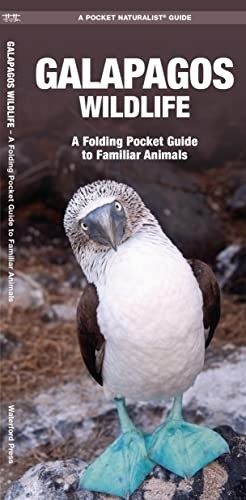 Galapagos wildlife folding - galapagos, wildlife: