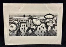 Risoia al fiume Edo di