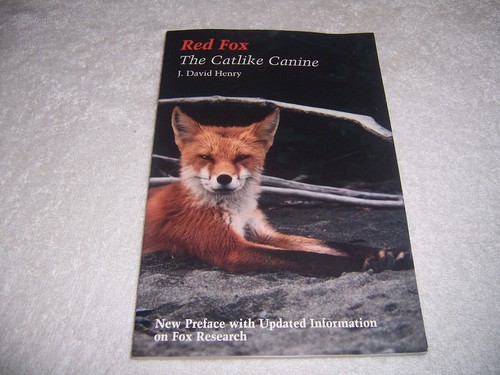 Red fox the catlike - :,