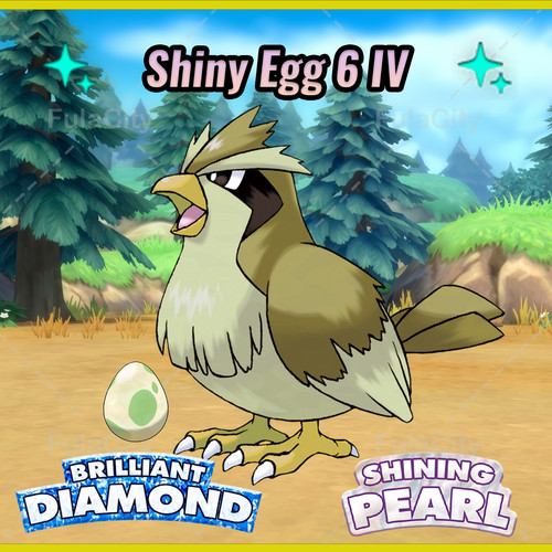 Uovo lucido pidgey - pidgey, 🔵pokemon