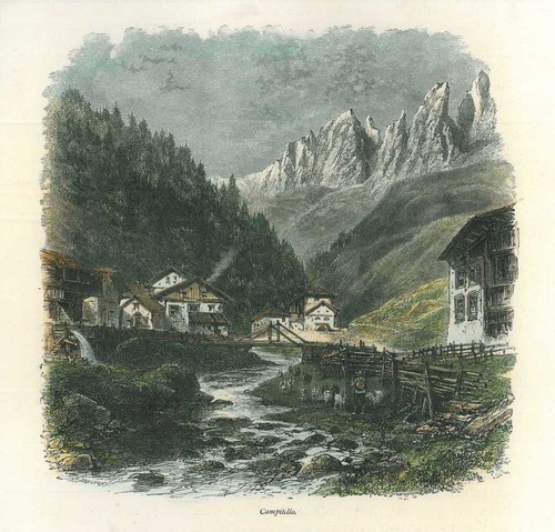 Veduta campitello fassa - veduta,