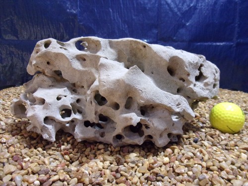 Texas holey rock - 08#, texas/tn