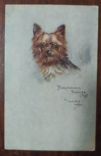 9957 CARTOLINA CANE YORKSHIRE TERRIER TOY by M. West Watson 1911