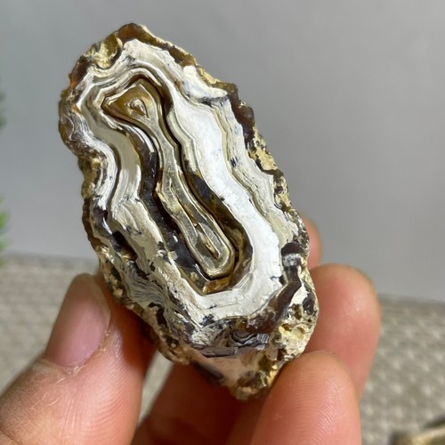 Bonsai suiseki pietra - suiseki,