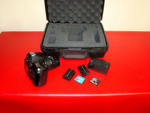 Nikon d100 megapixel - d100,