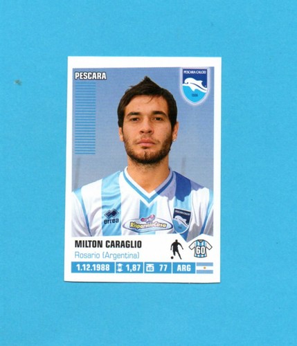 Panini calciatori - panini,
