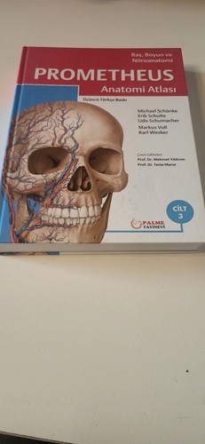 Lehrbuch anatomie atlas - anatomie,
