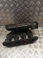 Collettore aspirazione benzina