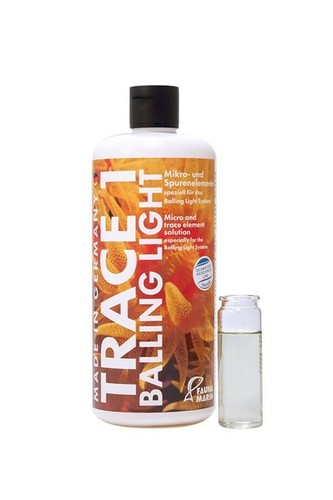 Fauna marin balling trace - fauna,
