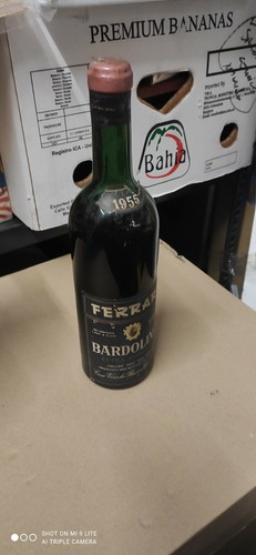 Vino 1955 bardolino cantina - vino,