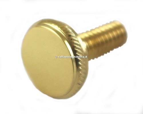 Selmer vite cassetta letturino