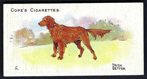 Cope dogs the - dogs,