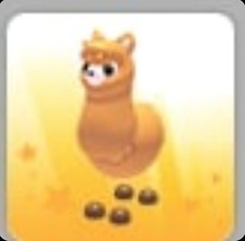 Alpaca adotta ora - adotta,