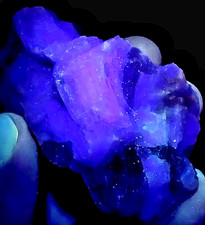 Osso fluorescente-cristalli di