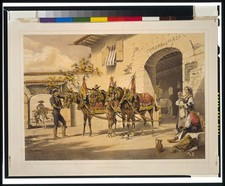 Mules of the Plaza de