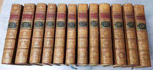 Caius plinius secundus - plinius,